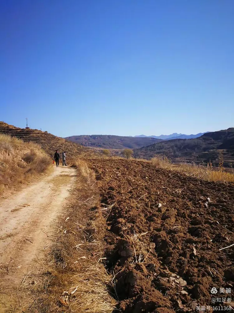 家乡的——路——土地——草2017.11.18